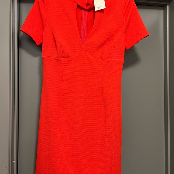 Tirna Turk dress size 4 - Picture 3 of 9